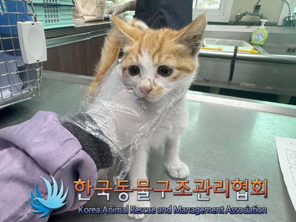 한국동물구조관리협회_411304202400334